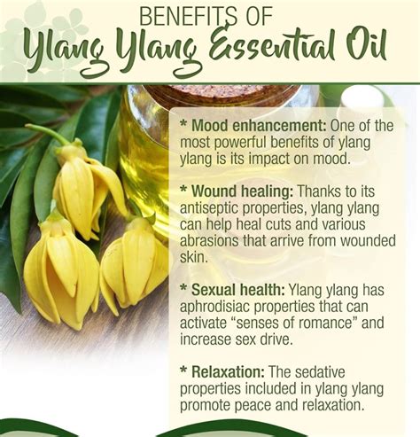 Wonderful Benefits Of Ylang Ylang Essential Oil My Health Only