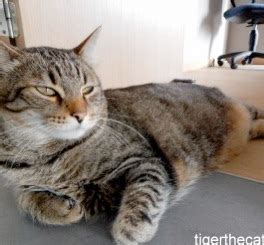 Question + answer (form 3 english novel) (2) question (3) : AcuDestress overview for patients: a unique space where ...