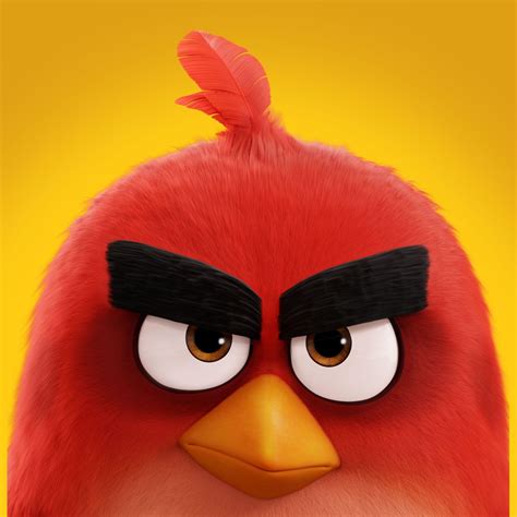 Pin By Tanya Rachel On Laughs Angry Birds Movie Bird Gif Angry Birds
