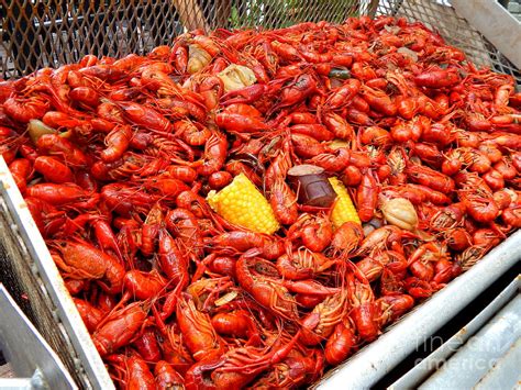The Crawfish Boil In New Orleans Louisiana Photograph By Michael Hoard