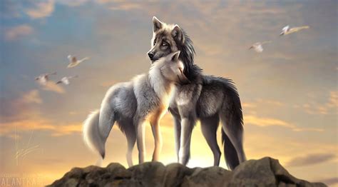 Love Wolves On Dog Wolf Couple Hd Wallpaper Pxfuel