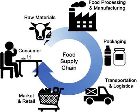 E Schematic Representation Of The Food Supply Chain From The Production