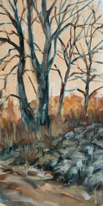 Carlene Dingman Atwater Sunset On The Treetops