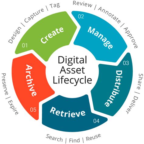 What Is Digital Asset Management And Why Do You Need It