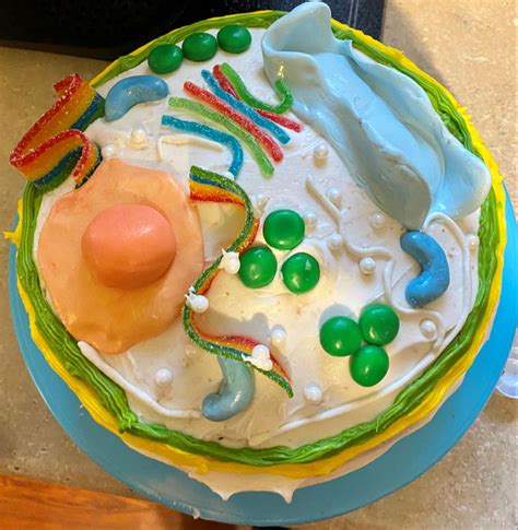 Animal Cell Edible Cell Project Edible Cell Cells Project