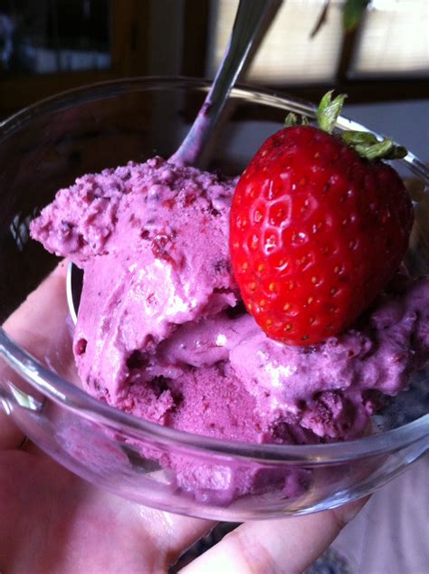 Berry Ice Cream Refuas Haguf