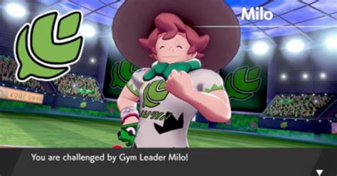 Pokemon Smash Or Pass Gym Leaders Tier List Community Rankings