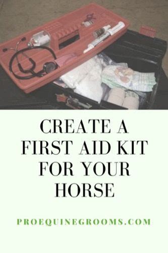 Put Together A Horse First Aid Kit Horse Care Tips Horses Horse Care
