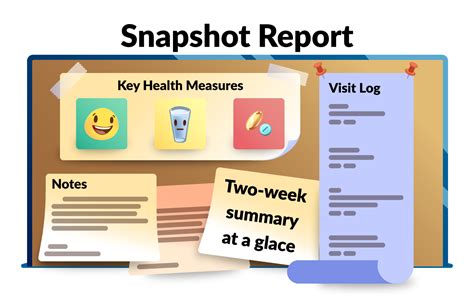 The Snapshot Report Simplec