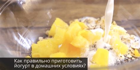 Как сделать домашний йогурт из молока: 5 простых рецептов — журнал "о ...