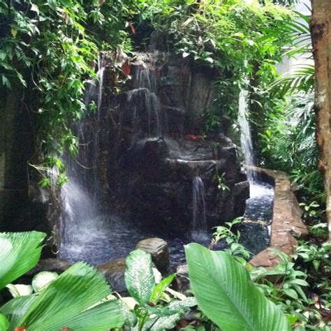 It is quite large and makes for a nice morning outing with the family. Kuala lumpur | Kuala lumpur, Waterfall, Nature