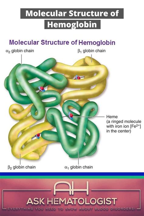 Pin On Abnormal Hemoglobins