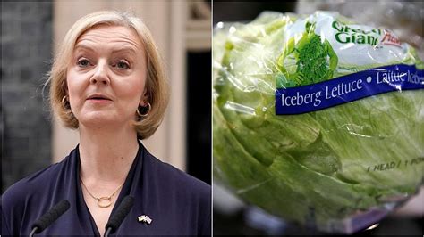 Lettuce Rejoice As Salad Wins Challenge And Outlasts Uk Pm Liz Truss Euronews
