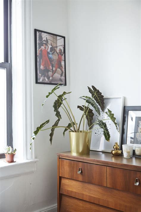 A Cool Harlem Apartment Full Of Inspiration Harlem Apartment Looking