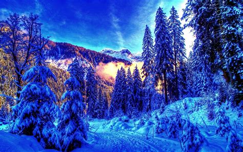 Snow Trees Winter Landscapes Hdr Photography Nordic