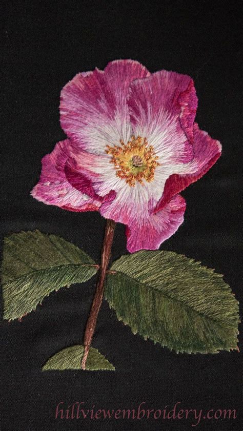 To start your crafts journey, you'll need to first purchase some embroidery tools. RSN Certificate in Technical Hand Embroidery | Embroidery ...