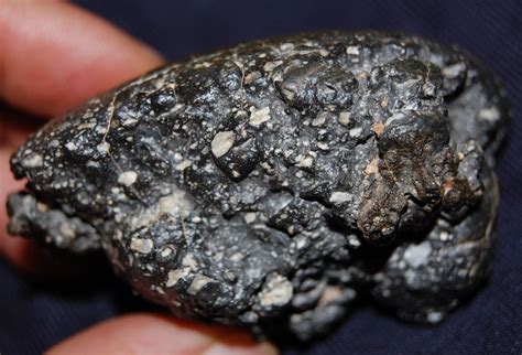 Lunar Meteorite Nwa Unnamed 87 Some Meteorite Information
