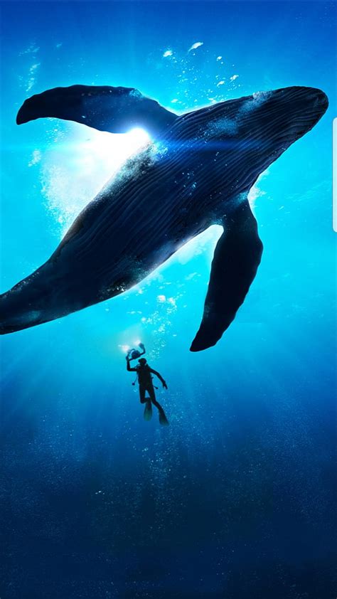 Blue Whale S8 Blue Whale Galaxy Hd Phone Wallpaper Peakpx