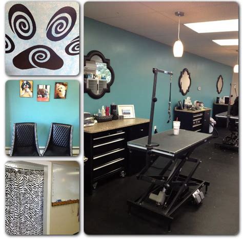 Dog Grooming Salon Decor Dog Grooming Salons Grooming Salon