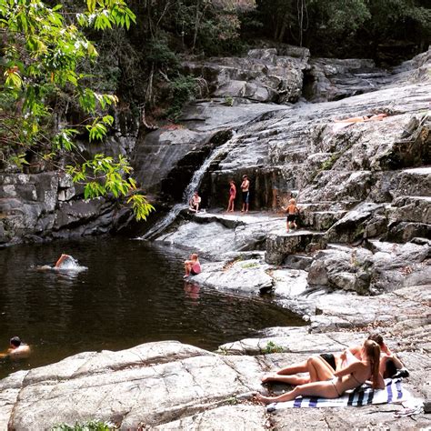 They are open every day of the week. Cedar Creek Falls - Queensland, Australia
