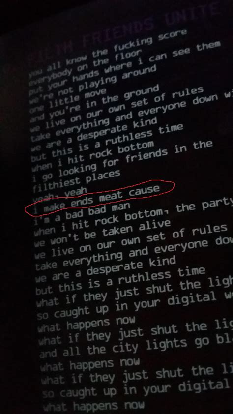 Anyone Else Have I See Stars Digitalrenegade On Cd Just Noticed