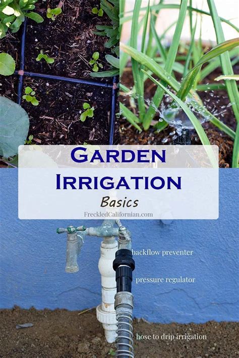 Intro To Irrigation And Watering Basics For The Garden ~ My Favorite