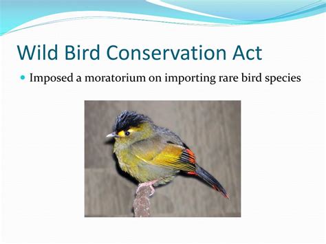PPT - Biodiversity and Evolution PowerPoint Presentation ...