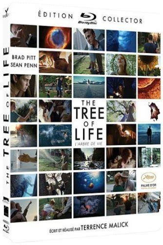 Tree Of Life Blu Ray Fr Import Amazonde Pitt Brad Penn Sean