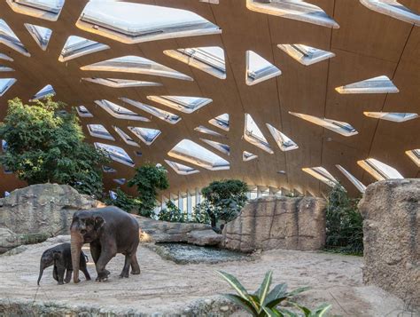 Markus Schietsch Architekten Design Palatial Elephant Enclosure For Zoo