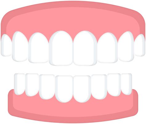 Tooth Png Clip Art Best Web Clipart Images
