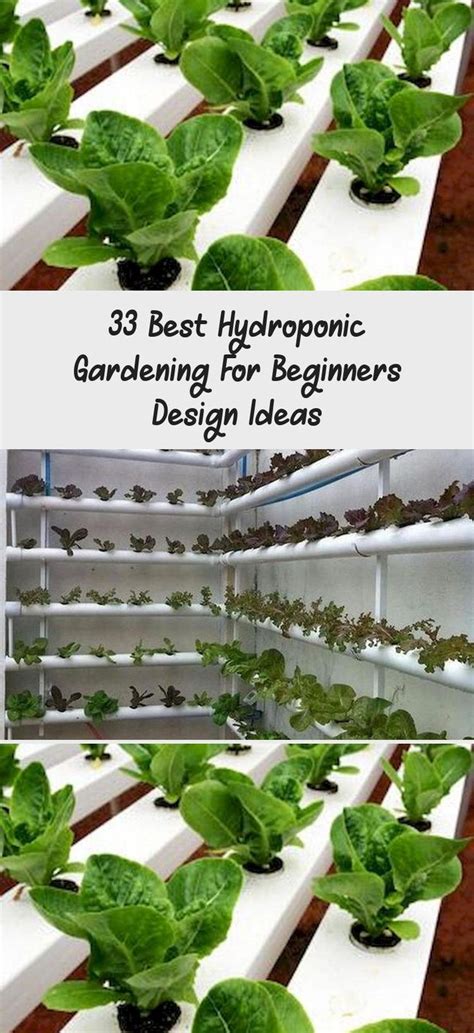 Explore 23 alternatives to hydroponics design ideas.there are hundreds of hydroponics techniques system. 33 Best Hydroponic Gardening For Beginners Design Ideas - GARDEN in 2020 | Gardening for ...