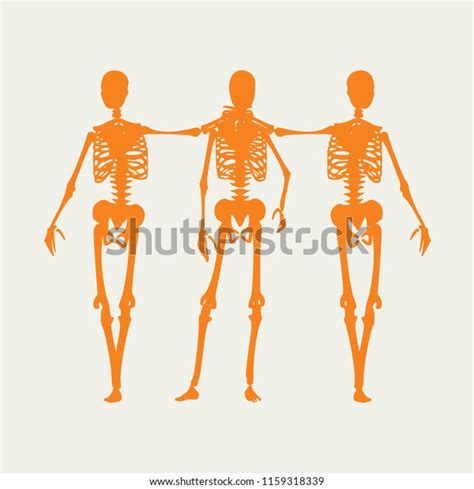 Human Skeleton Standing Hugging Halloween Party Stock Vector Royalty