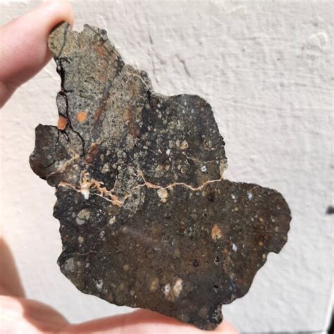 Nwa 8583 Meteorite Eucrite With Amazing Texture Meteolovers