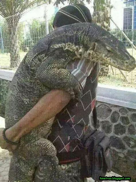 It is owned by the new straits times press berhad (nstp), the biggest harian metro is known as the sister newspaper to berita harian which reports mainly on the more corporate and 'serious' news in and outside the country. Gambar Khairi Peluk Biawak Menjadi Viral - Harian Metro Online