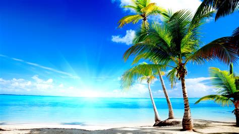 Praia Tropical Full Hd Papel De Parede And Background Image 1920x1080