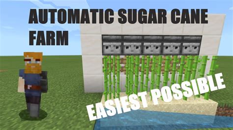 HOW TO MAKE THE EASIEST AUTOMATIC SUGAR CANE FARM IN MINECRAFT YouTube