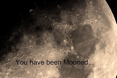 Moonlit You Ve Been Mooned MUST Have The Moon In The Image Flickr