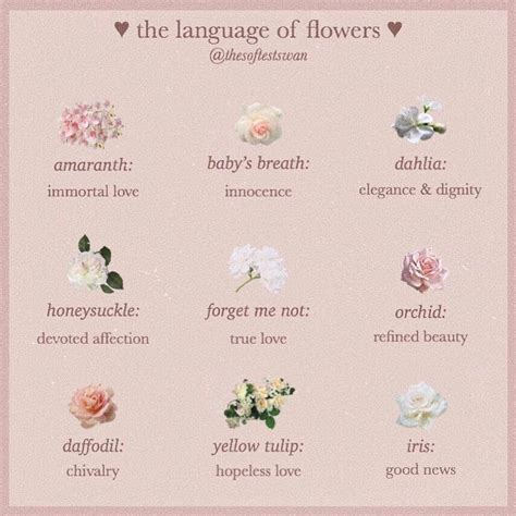 Aesthetic Flowers With Names References Mdqahtani