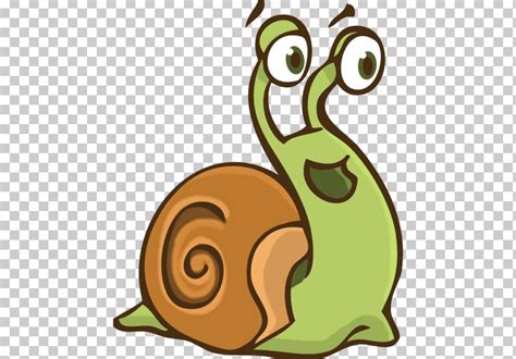 Snails And Slugs Snail Sea Snail Slug Cartoon Png Clipart Cartoon