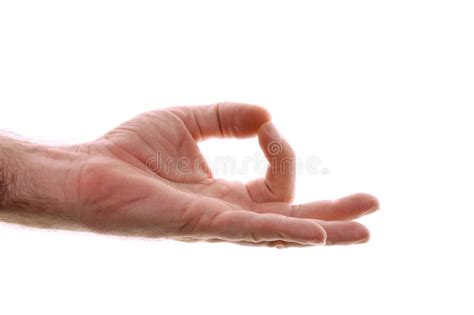 Yogic Hand Position Namaste Anjali Mudra On White Stock Photo Image