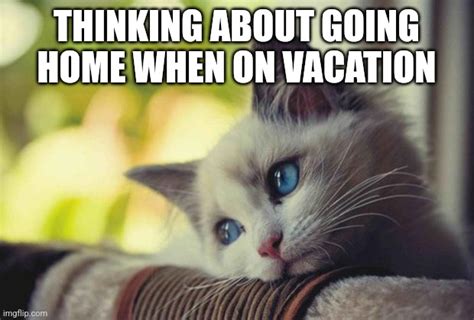 Vacation Memes Imgflip