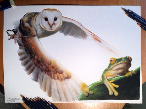 Owl Frog Color Pencil Drawing By Atomiccircus On Deviantart