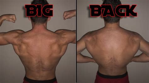 Best Back Workout Youtube