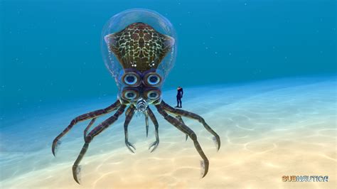 Subnautica Rumor Busting — Unknown Worlds Forums