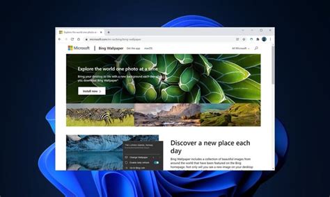 How To Download And Install Bing Wallpaper For Windows 11 Techcult