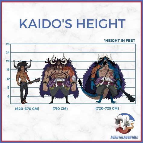 The Big Question How Tall Is Kaido In One Piece