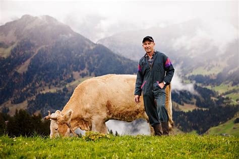 2500 Swiss Farmer Photos Stock Photos Pictures And Royalty Free Images