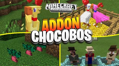 Chocobos Minecraft Pe Addon Mod De Chocobos Para