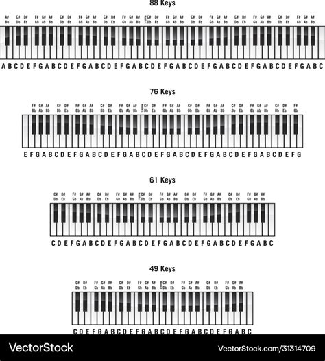 Piano Keyboards Layouts Royalty Free Vector Image