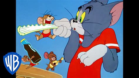 Tom Y Jerry En Español Dibujos Clásicos 101 Wb Kids Youtube